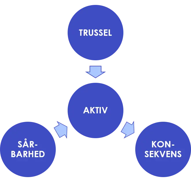 Billede af model for beskrivelse ricisi